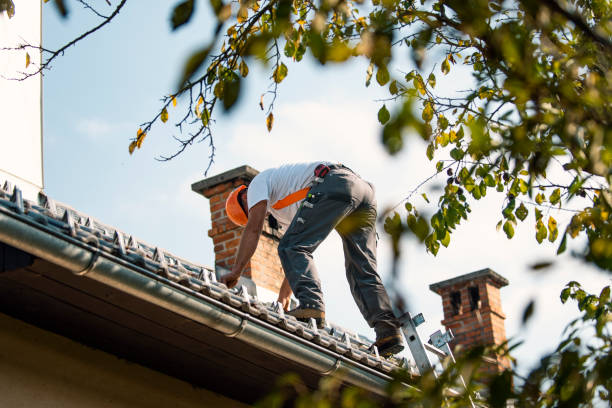 Best Emergency Roof Repair  in Goodrich, MI