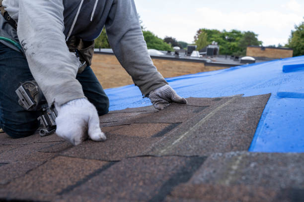 Roof Repair Estimates in Goodrich, MI