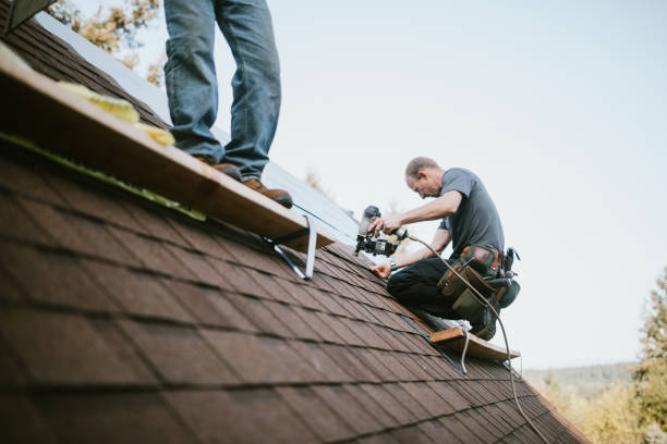 Best Local Roofing Companies  in Goodrich, MI